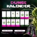 Starter Set - Phase 1 + 2 (Wachstum + Blüte) - organtic.com - Rasen, Pflanzen, Interior und mehr